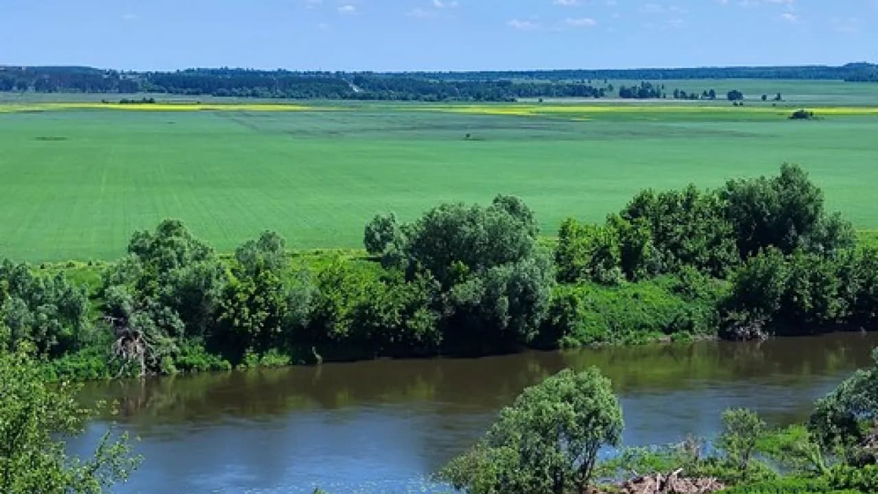 Изображение услуги9
