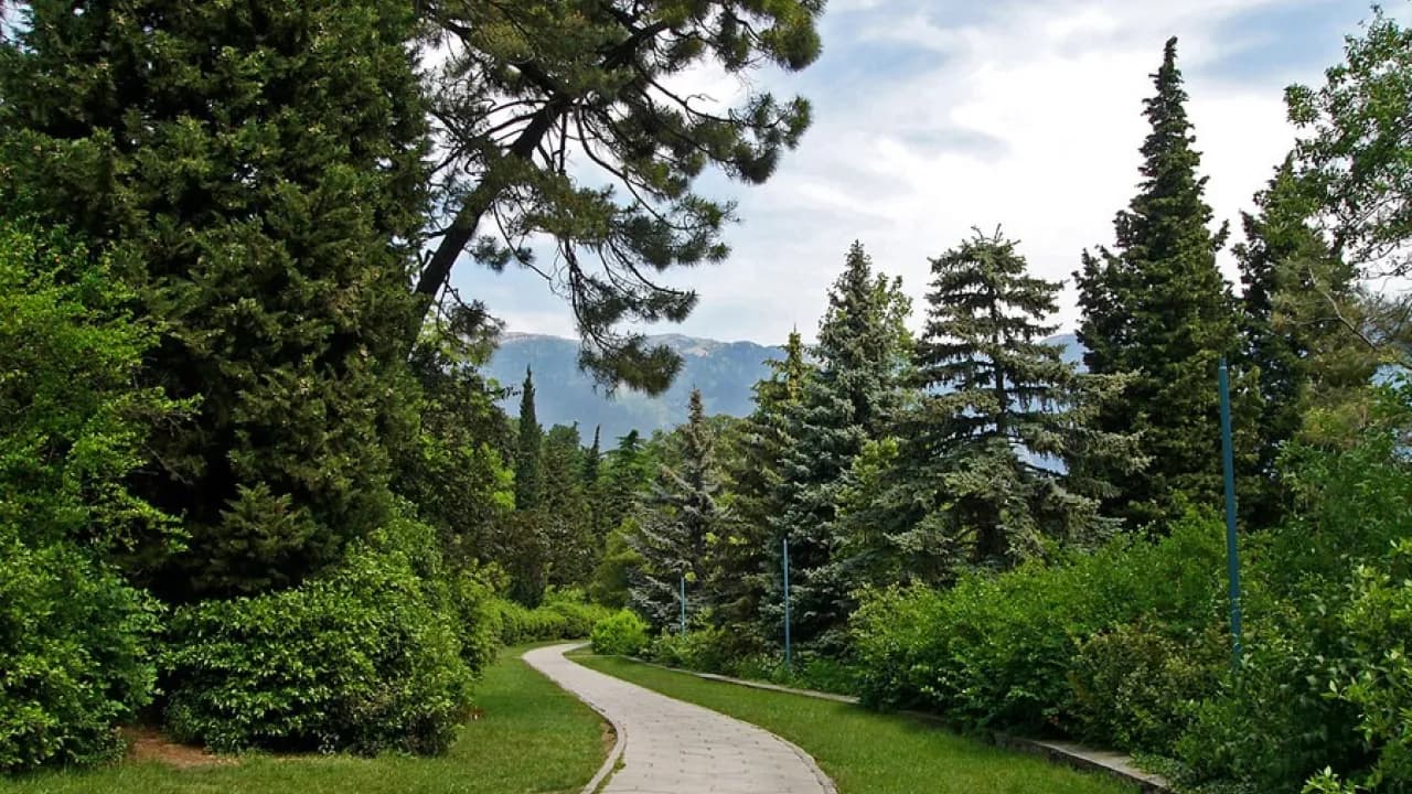 Изображение услуги8