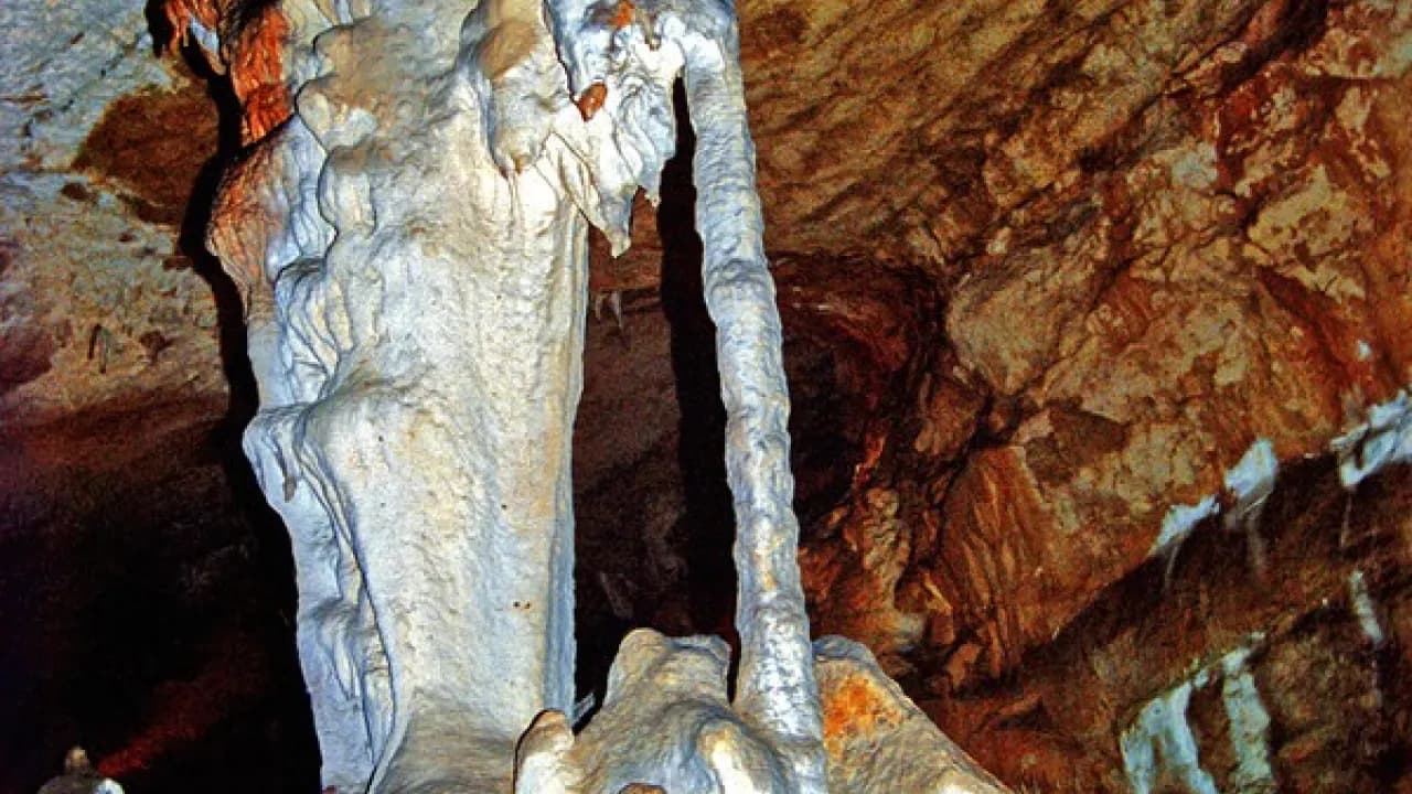 Изображение услуги1