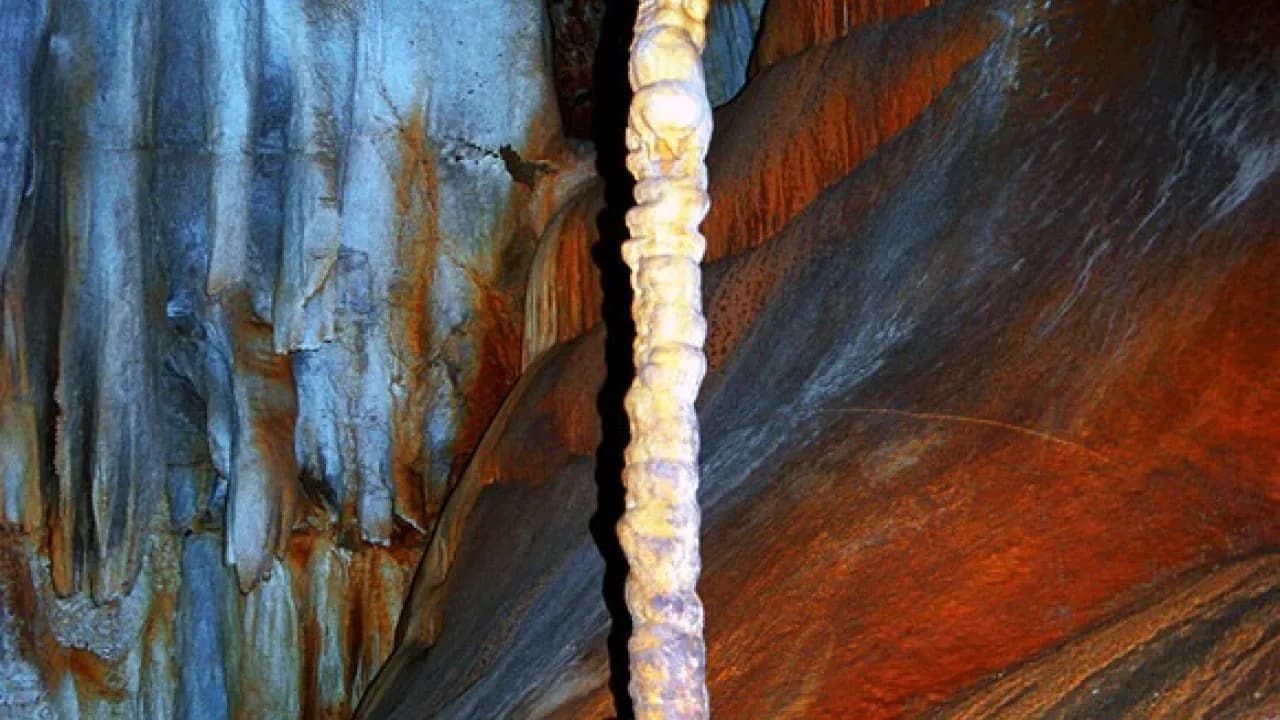 Изображение услуги2