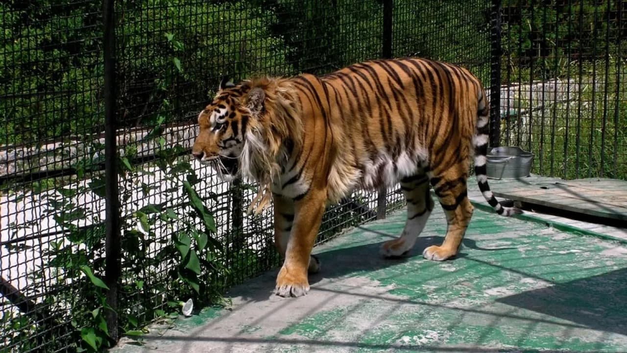 Изображение услуги2