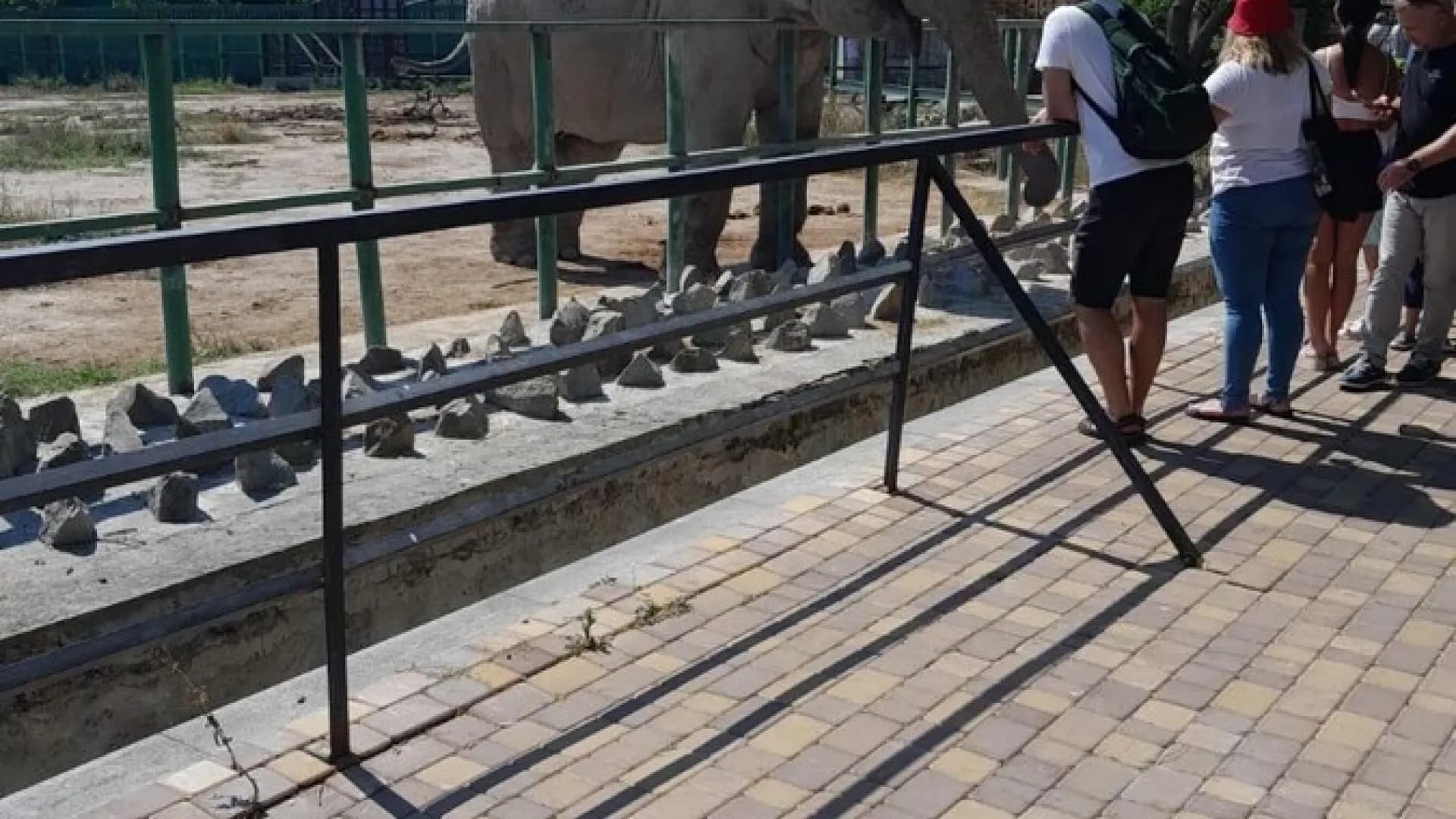 Изображение услуги6