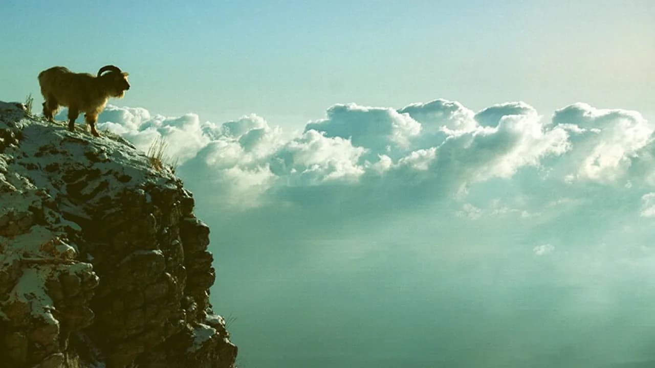 Изображение услуги1