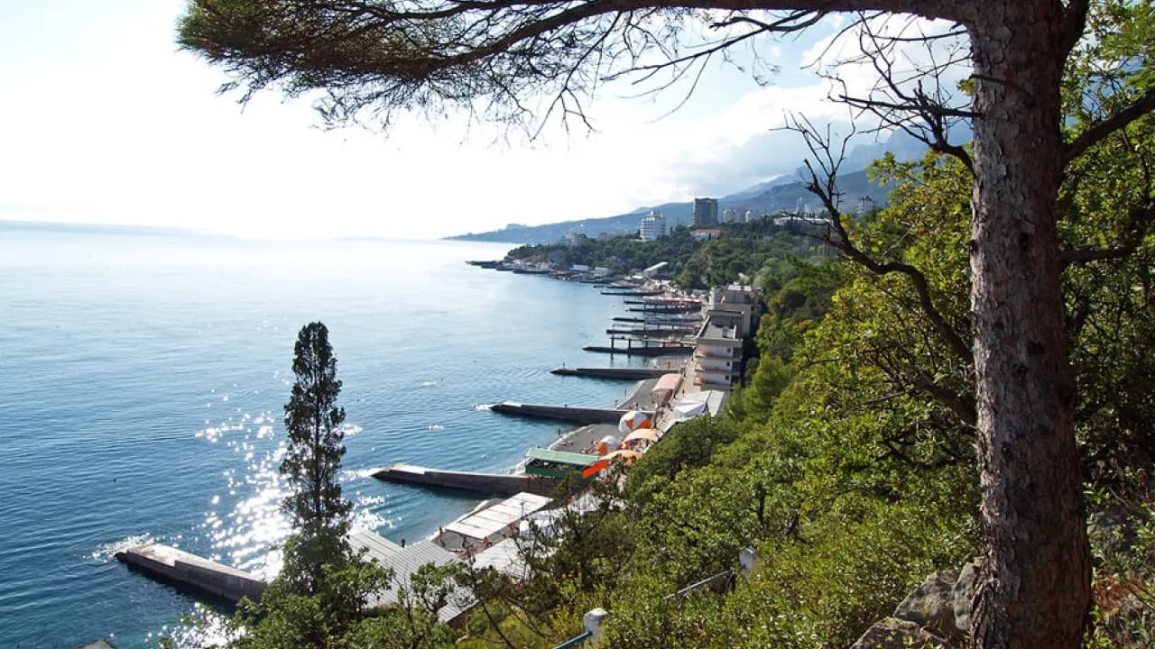 Изображение услуги3