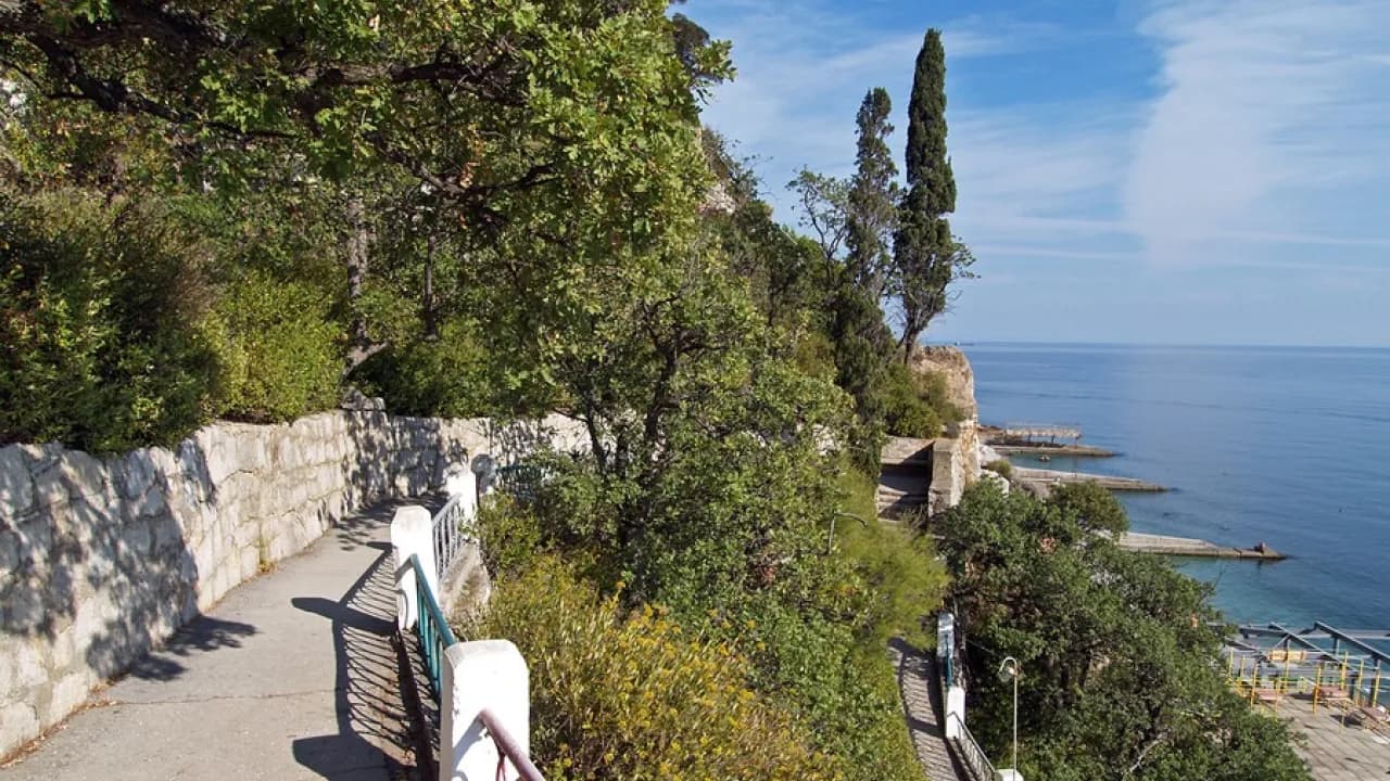 Изображение услуги4