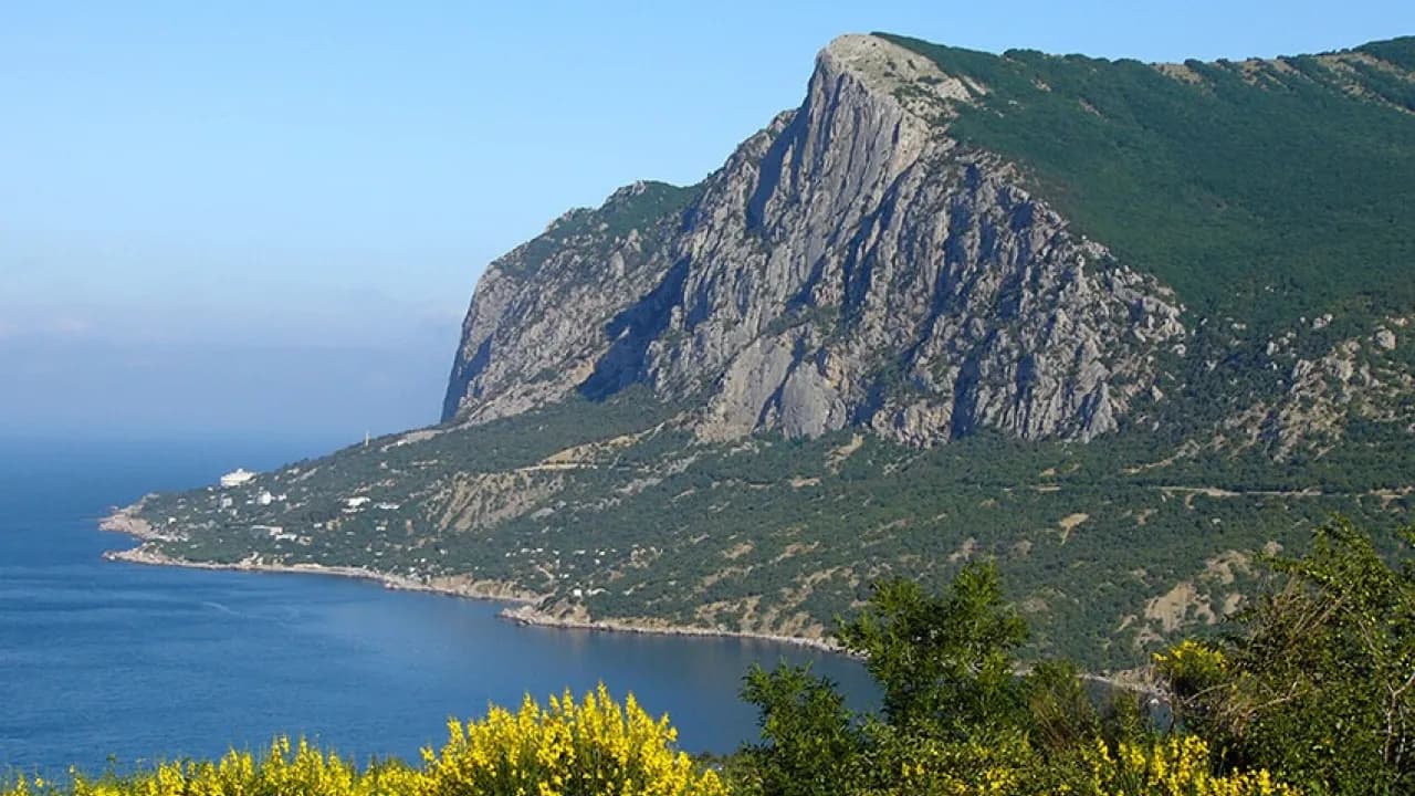 Изображение услуги6