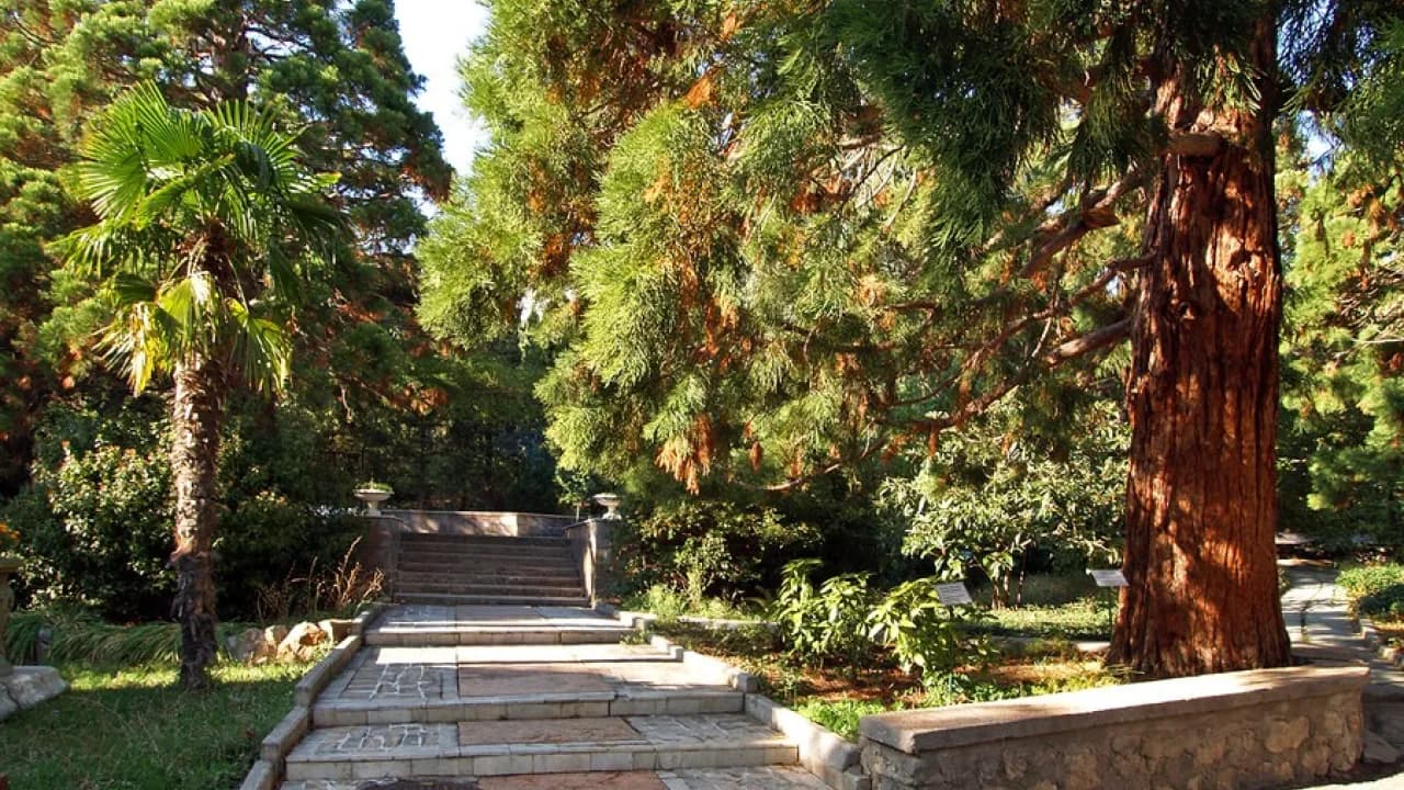 Изображение услуги1