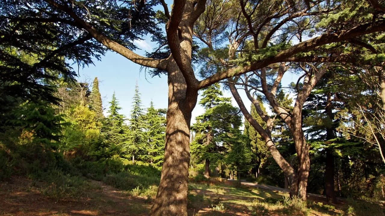 Изображение услуги5