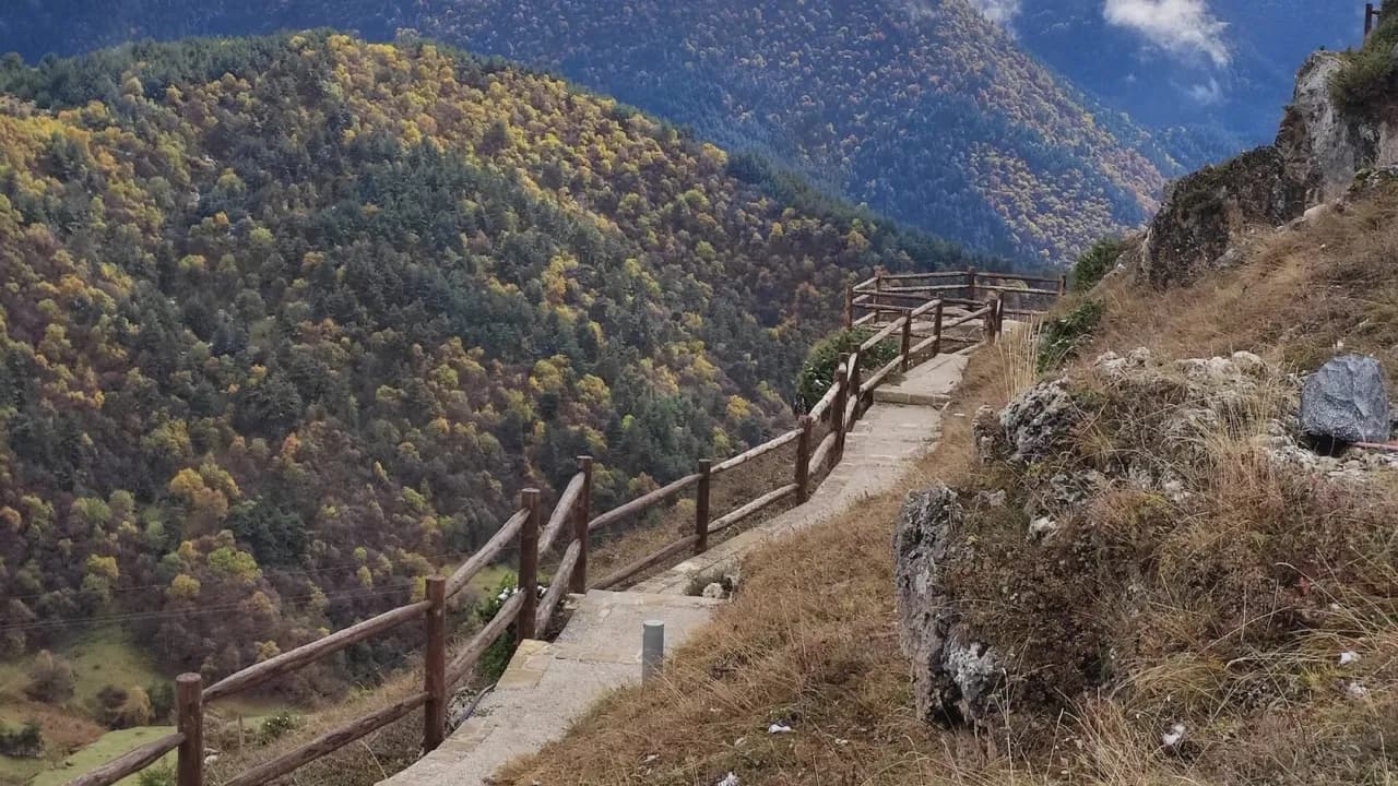 Изображение услуги3