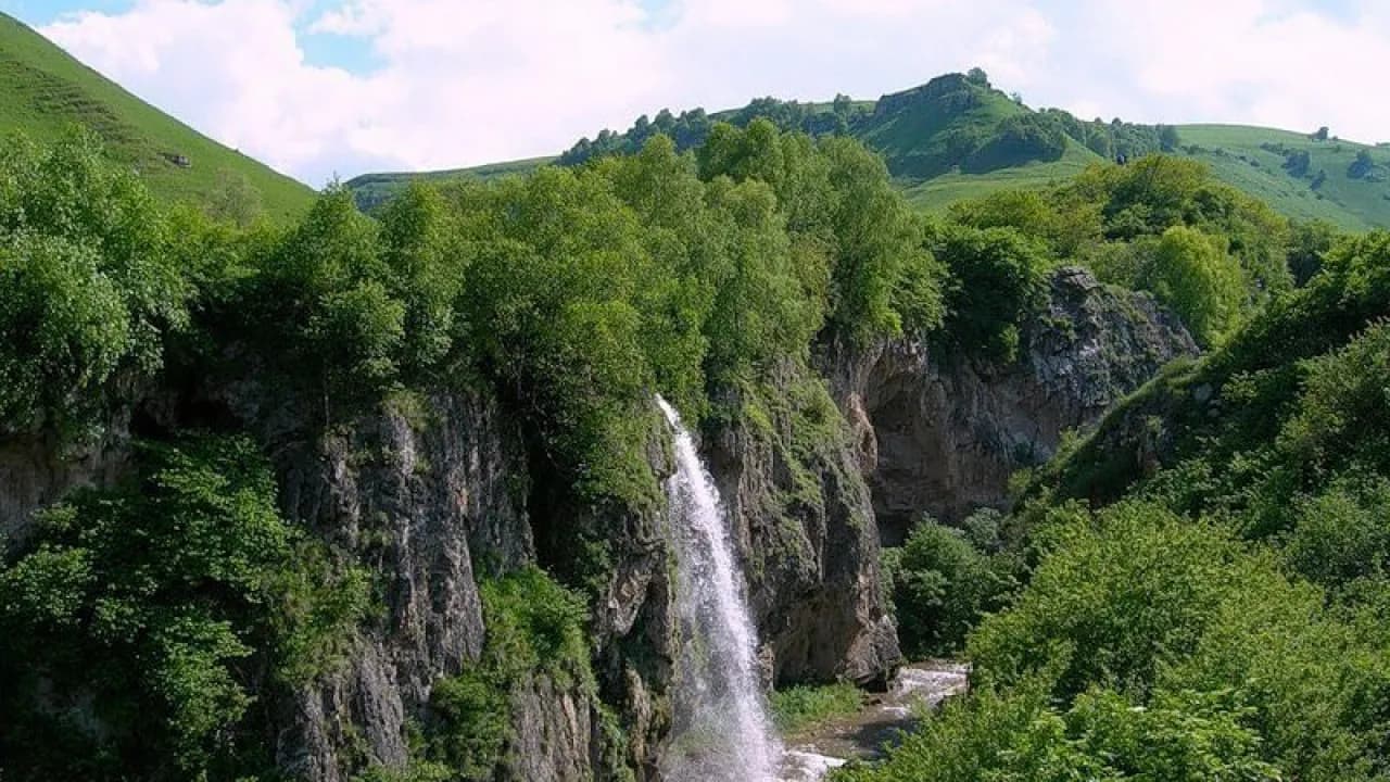 Изображение услуги1