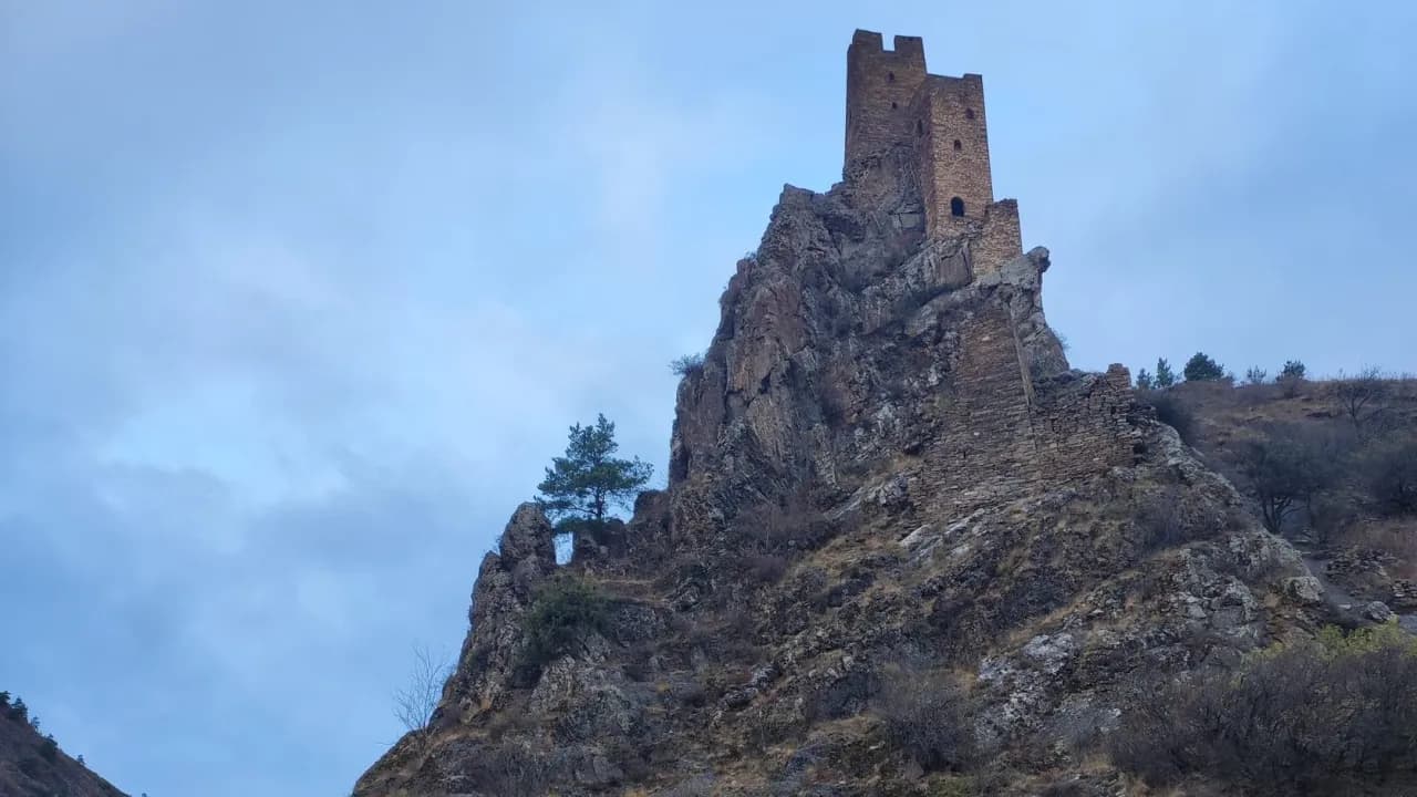 Изображение услуги5
