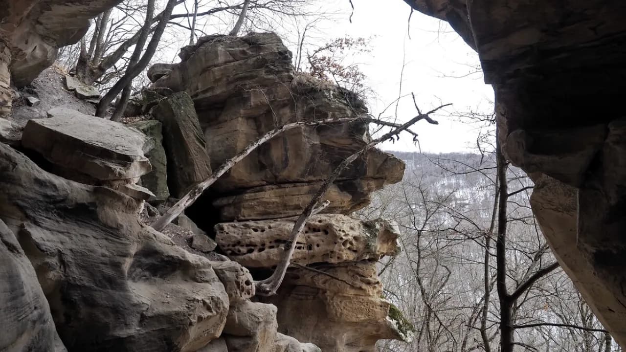 Изображение услуги6