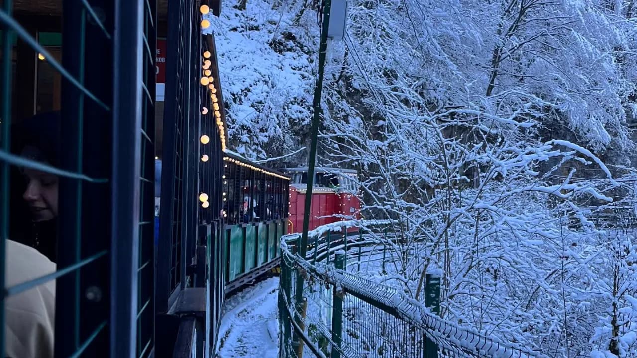 Изображение услуги5