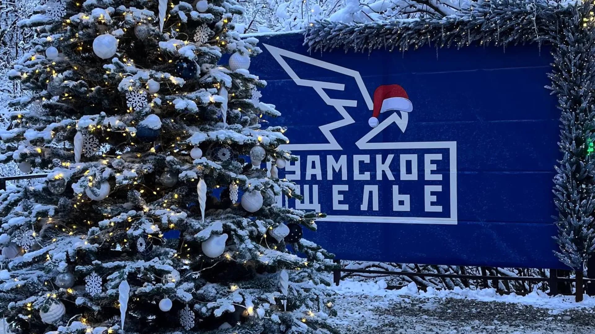 Изображение услуги7