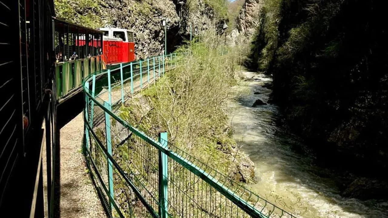 Изображение услуги10