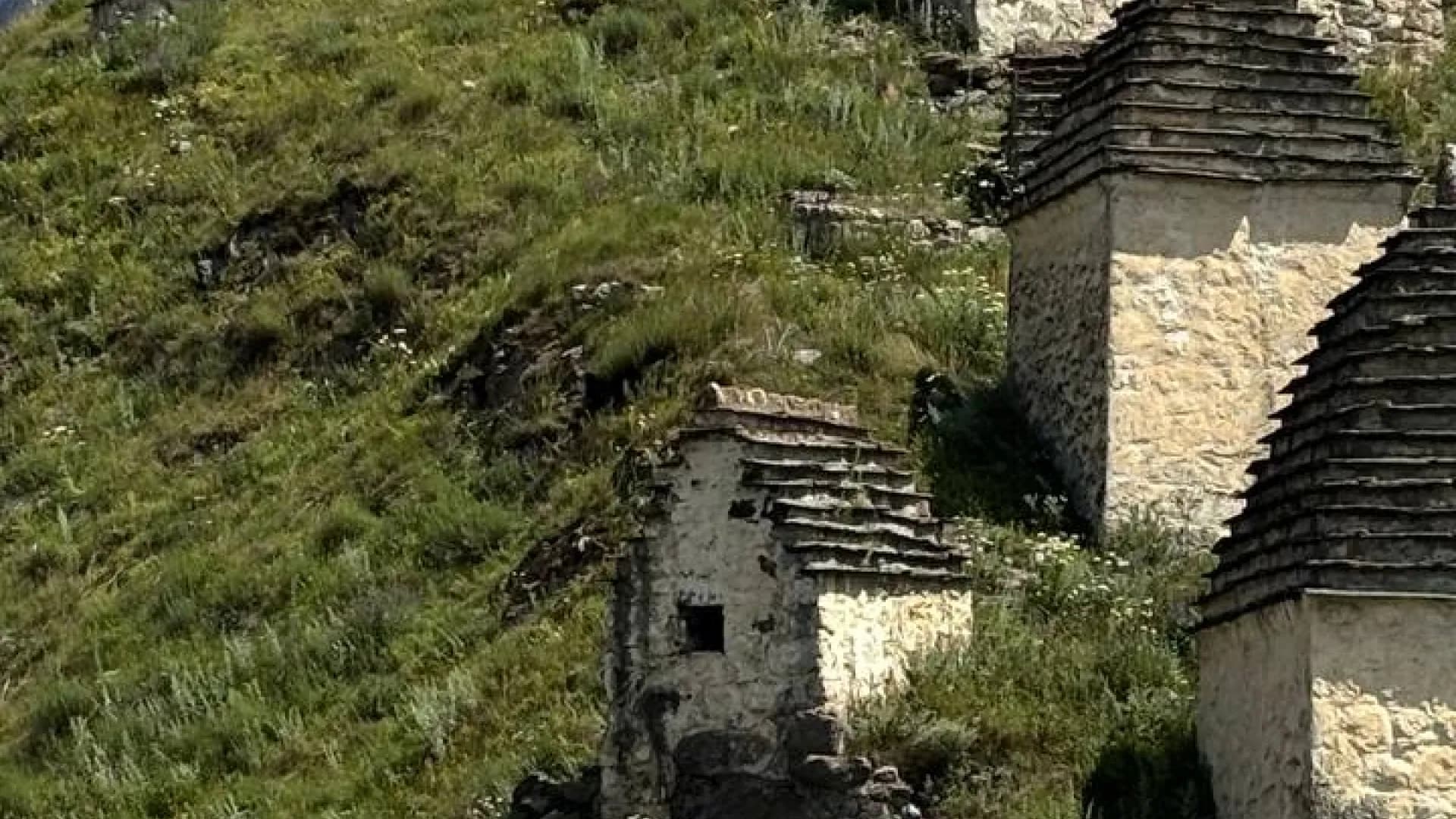 Изображение услуги1
