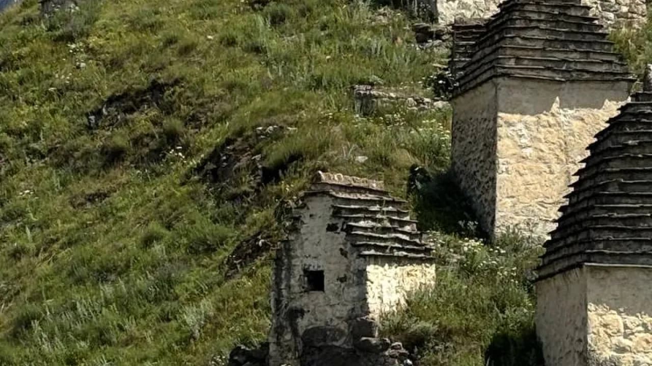Изображение услуги1