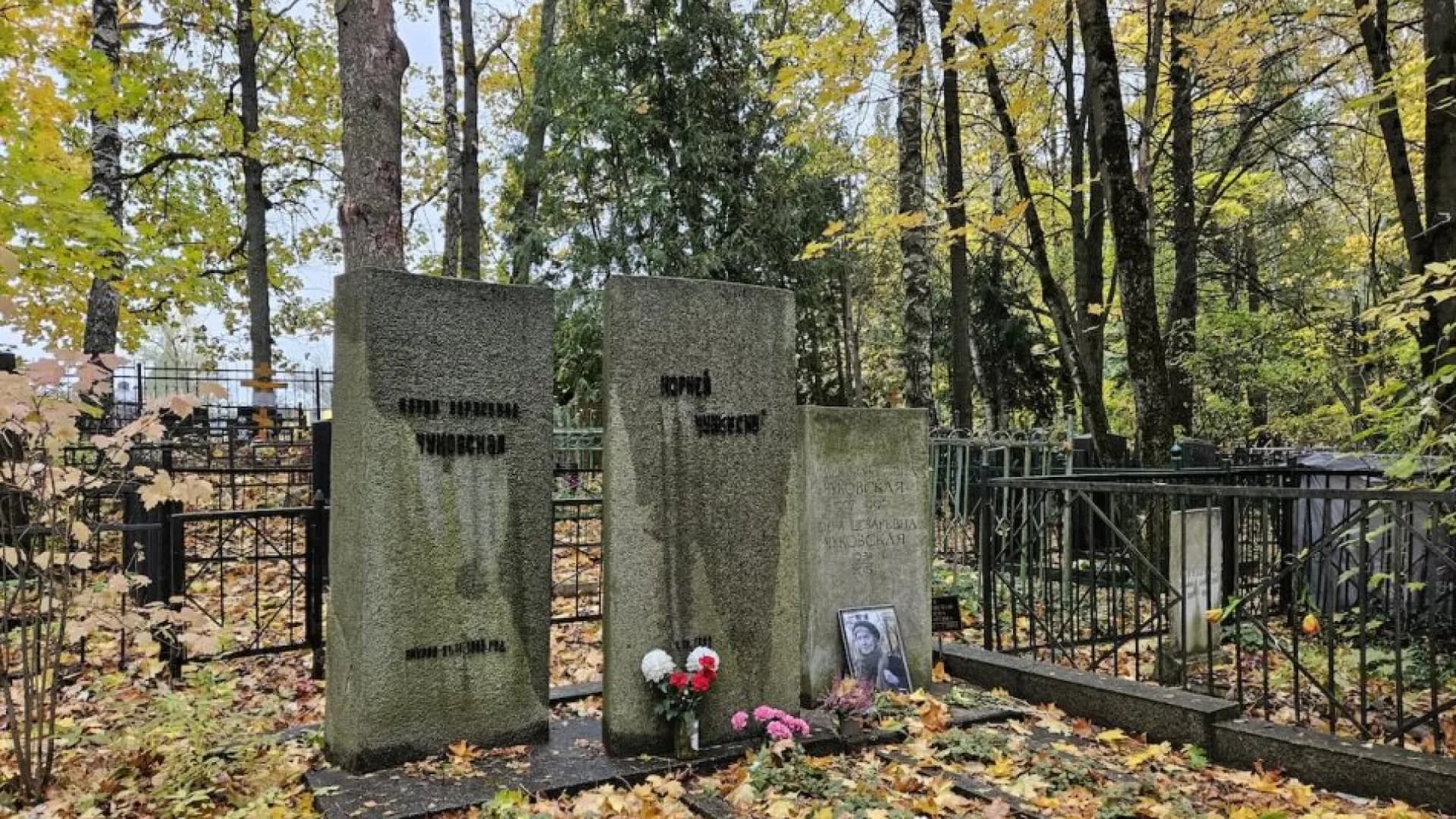 Изображение услуги8