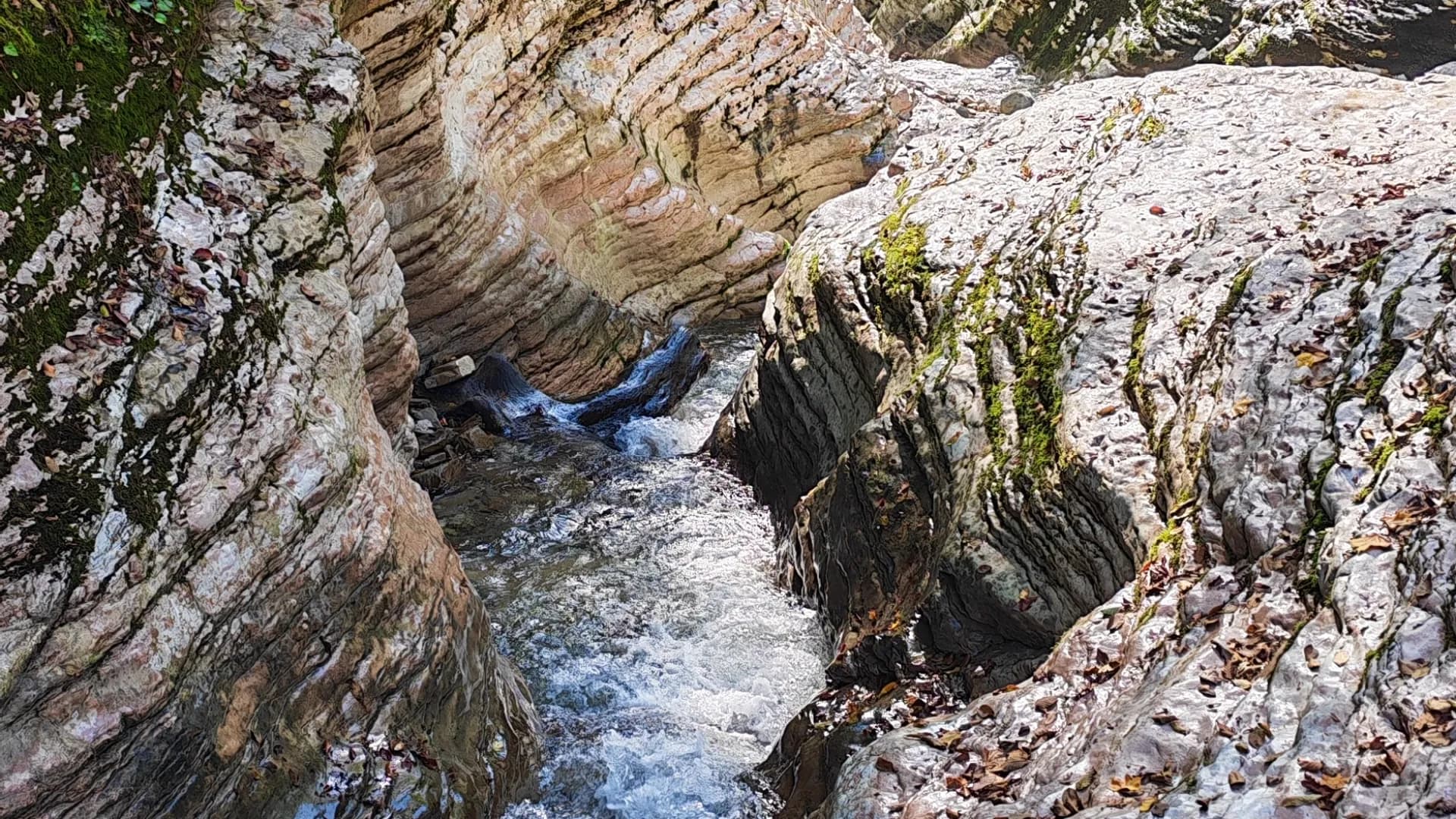 Изображение услуги6