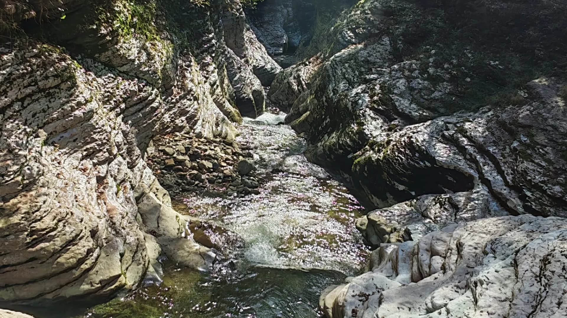 Изображение услуги11