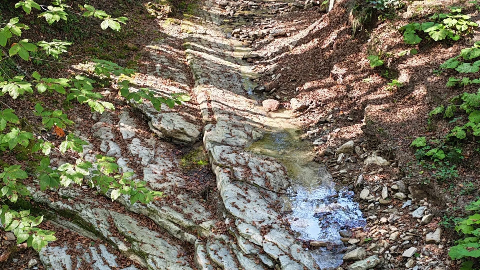 Изображение услуги11