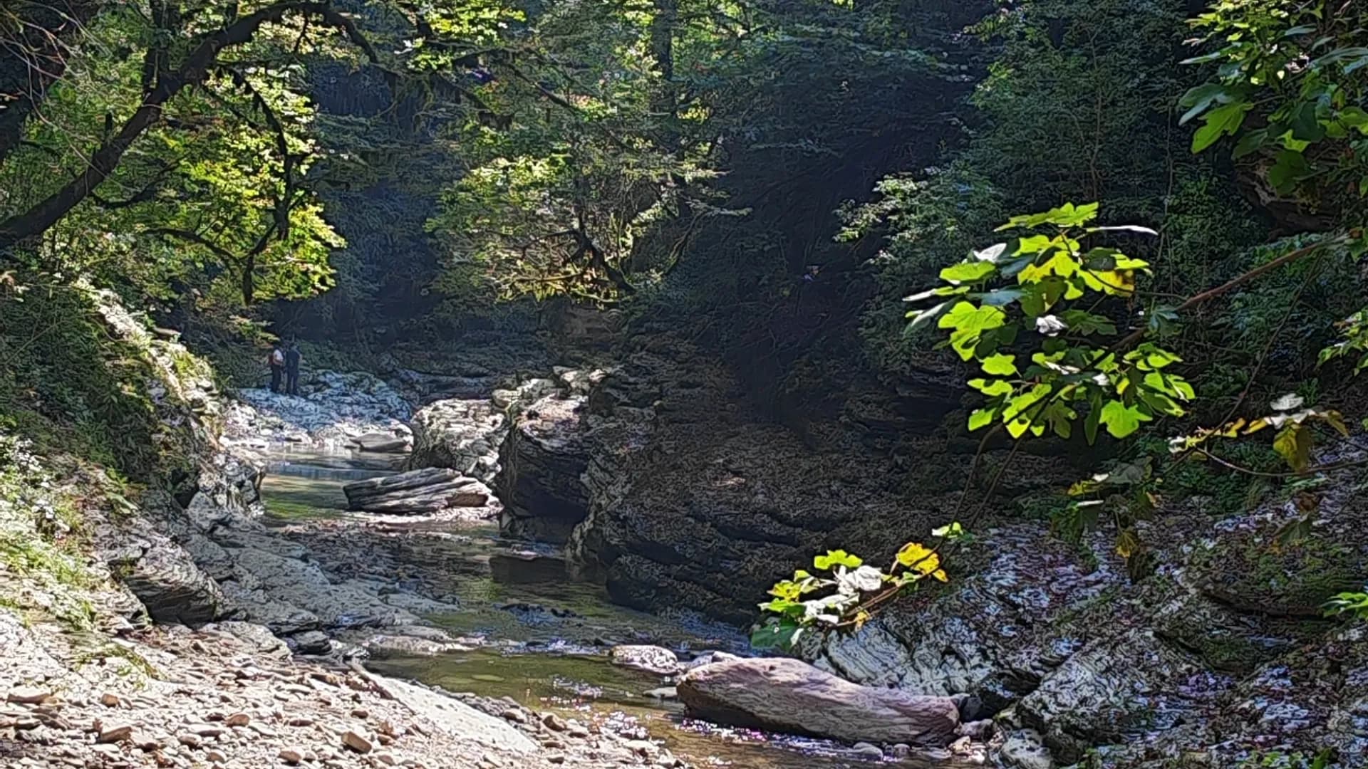 Изображение услуги15