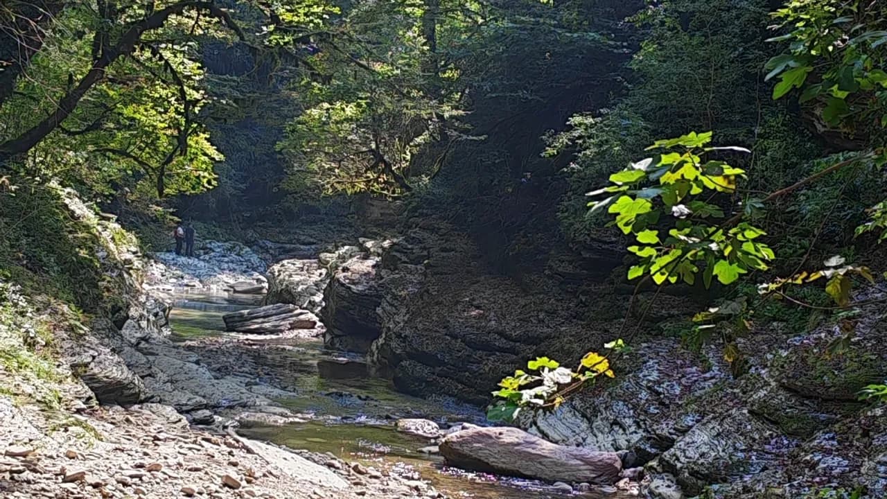 Изображение услуги15