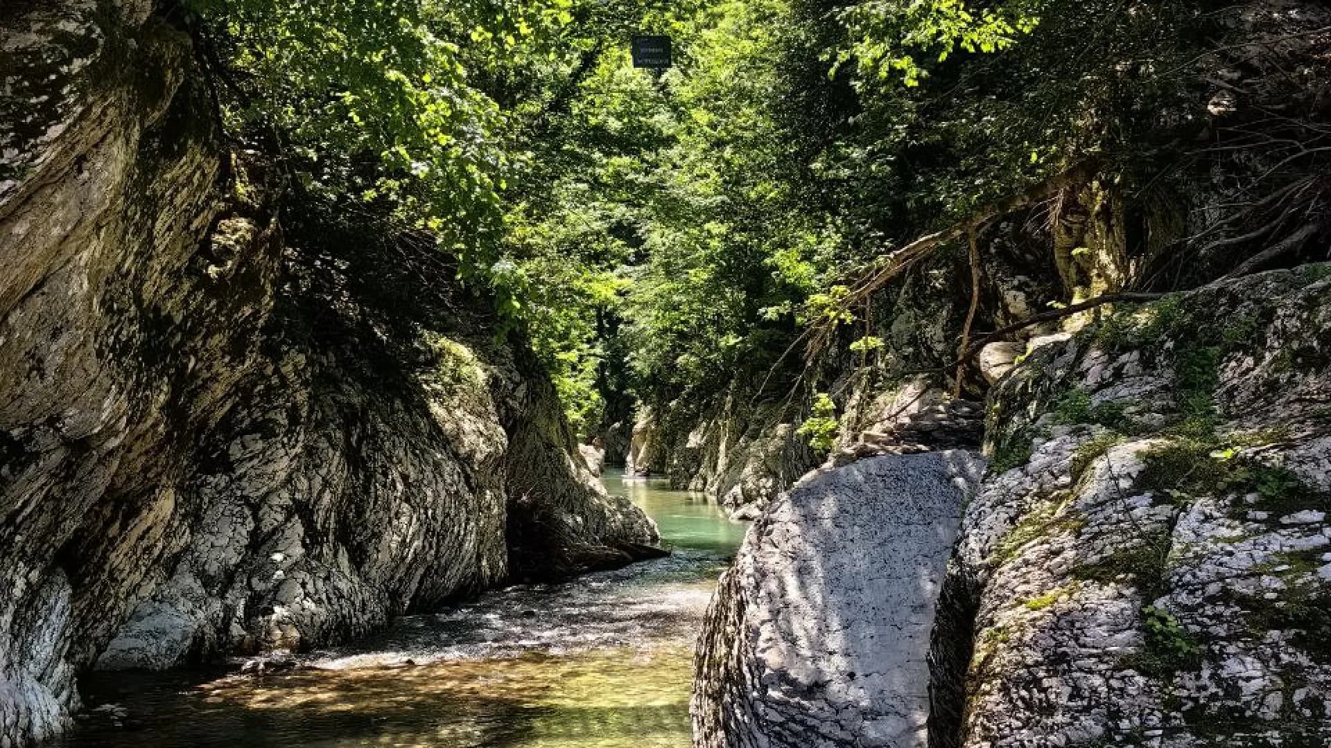 Изображение услуги1