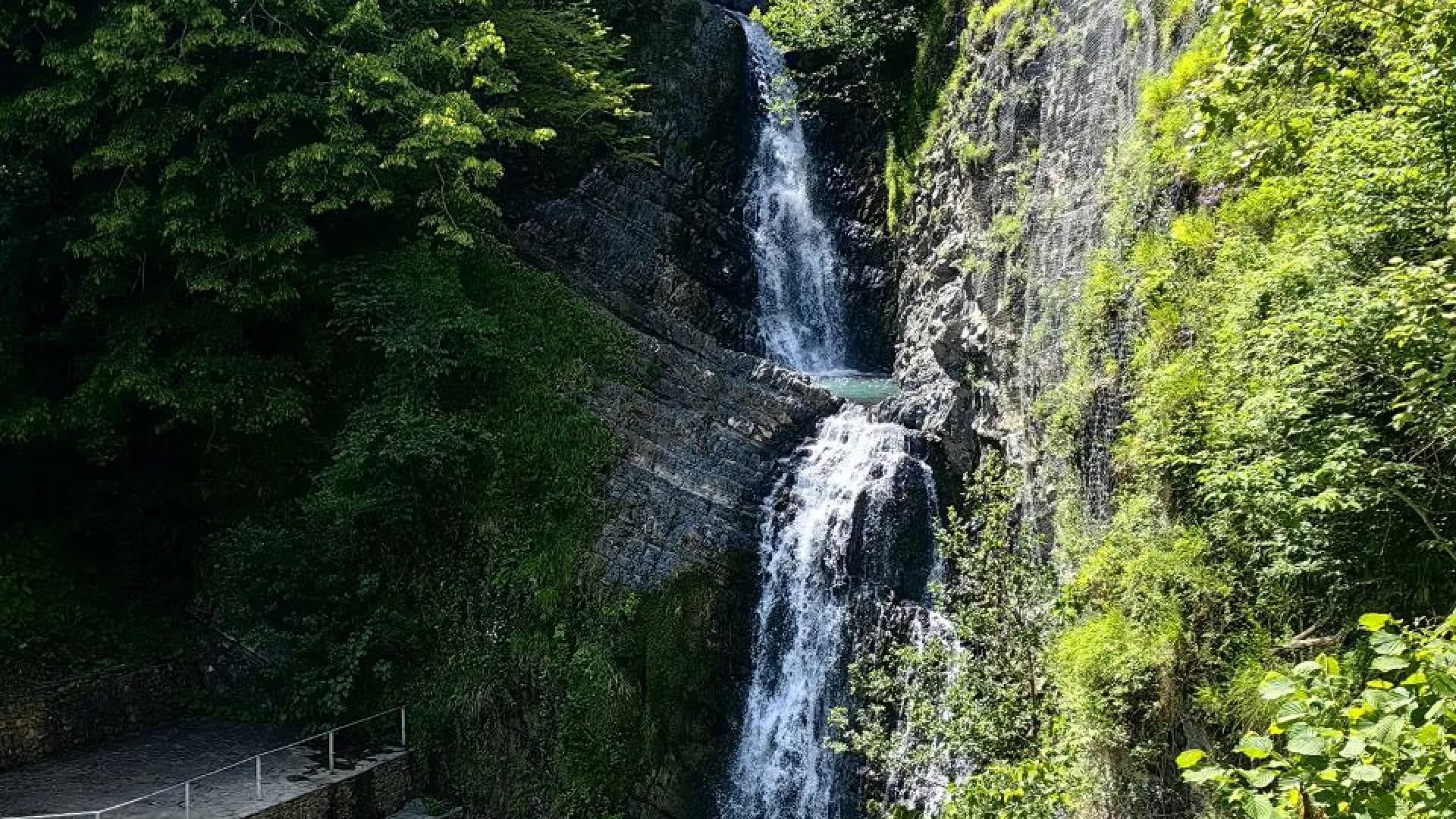 Изображение услуги2