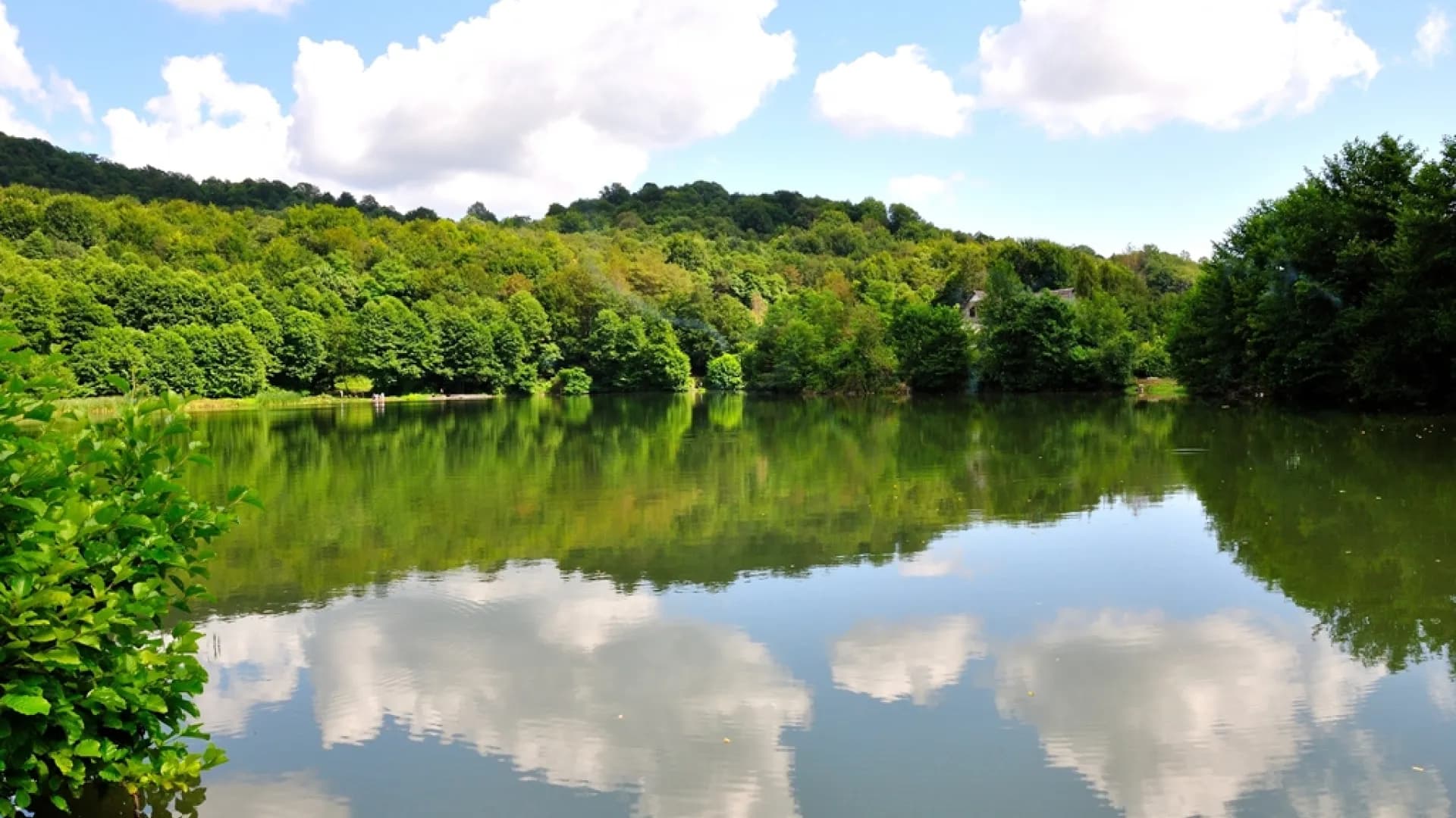 Изображение услуги6