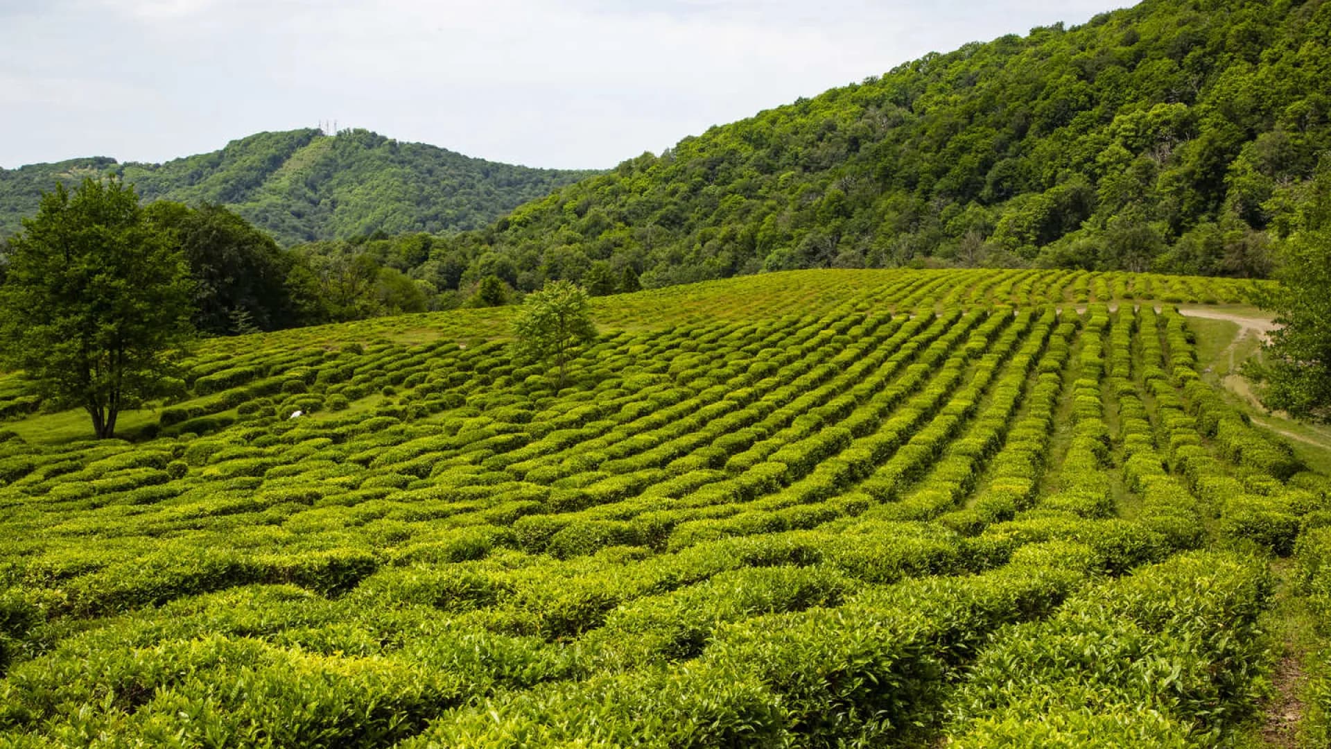 Изображение услуги9