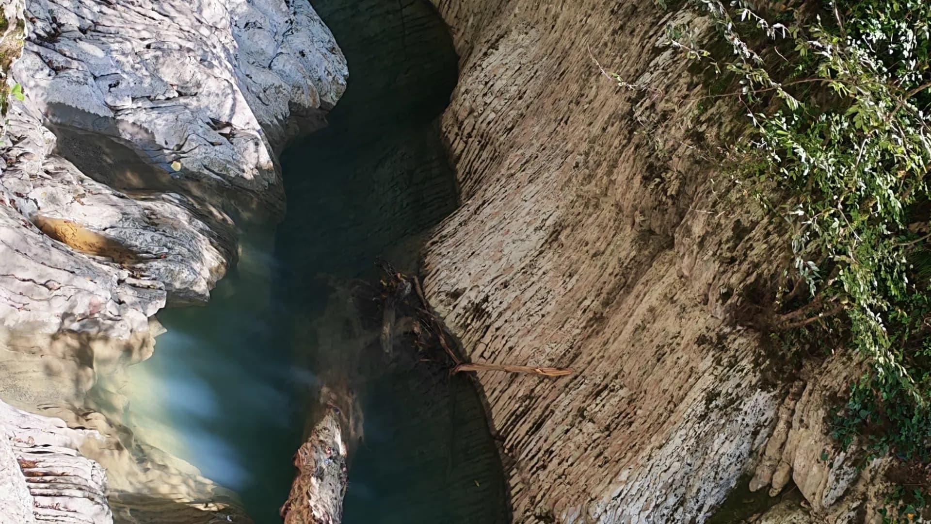 Изображение услуги12