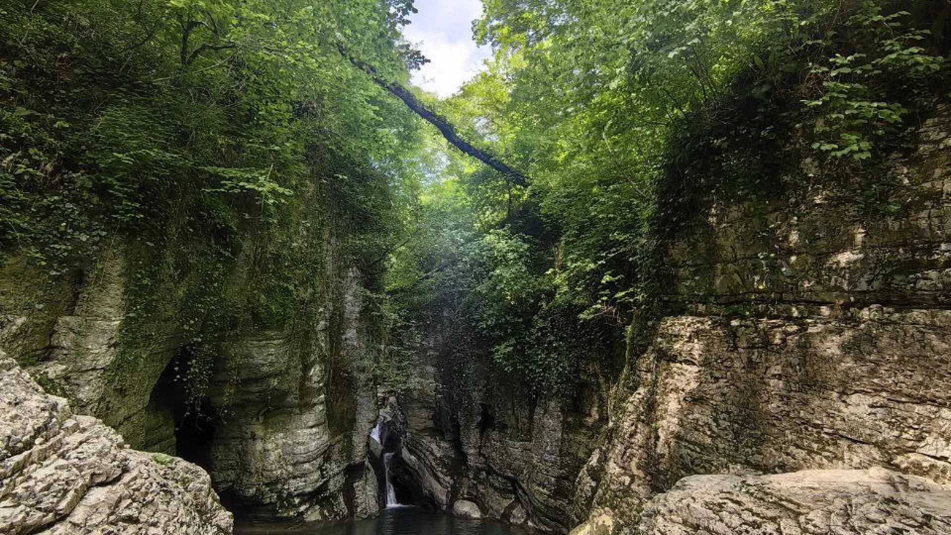 Изображение услуги12