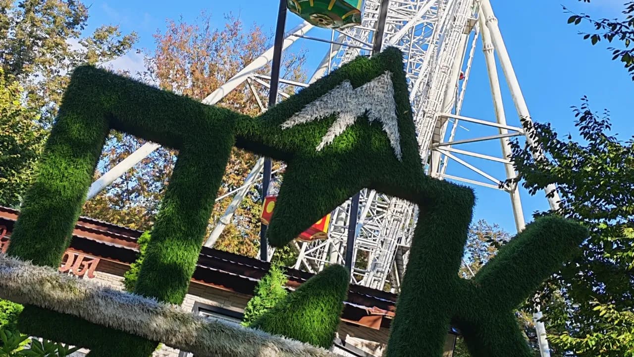 Изображение услуги15