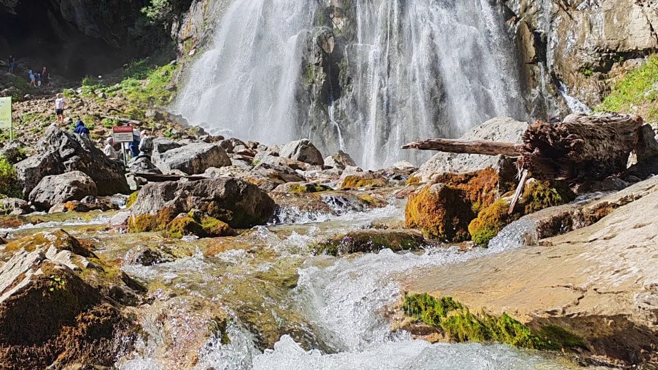 Изображение услуги15