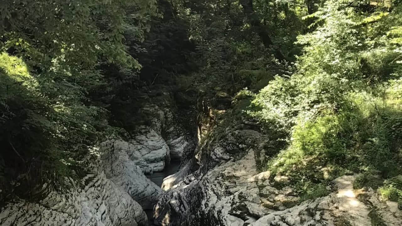 Изображение услуги1