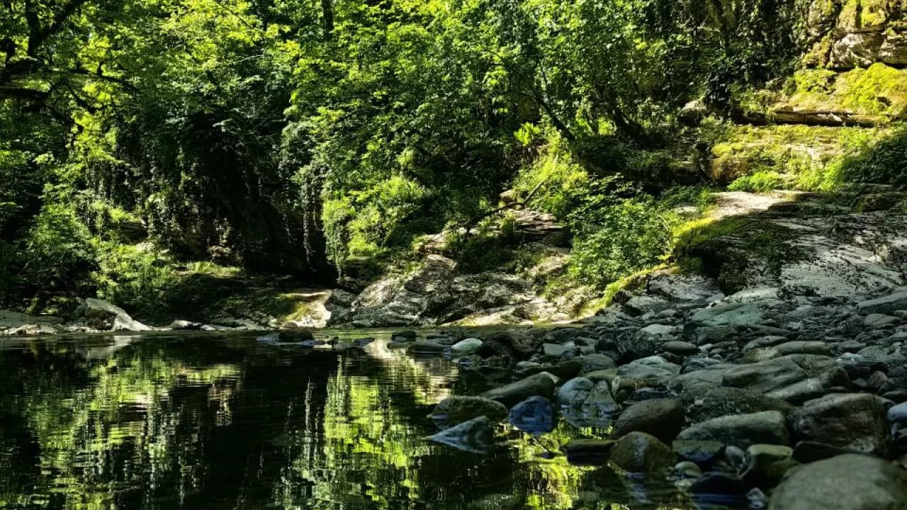 Изображение услуги5