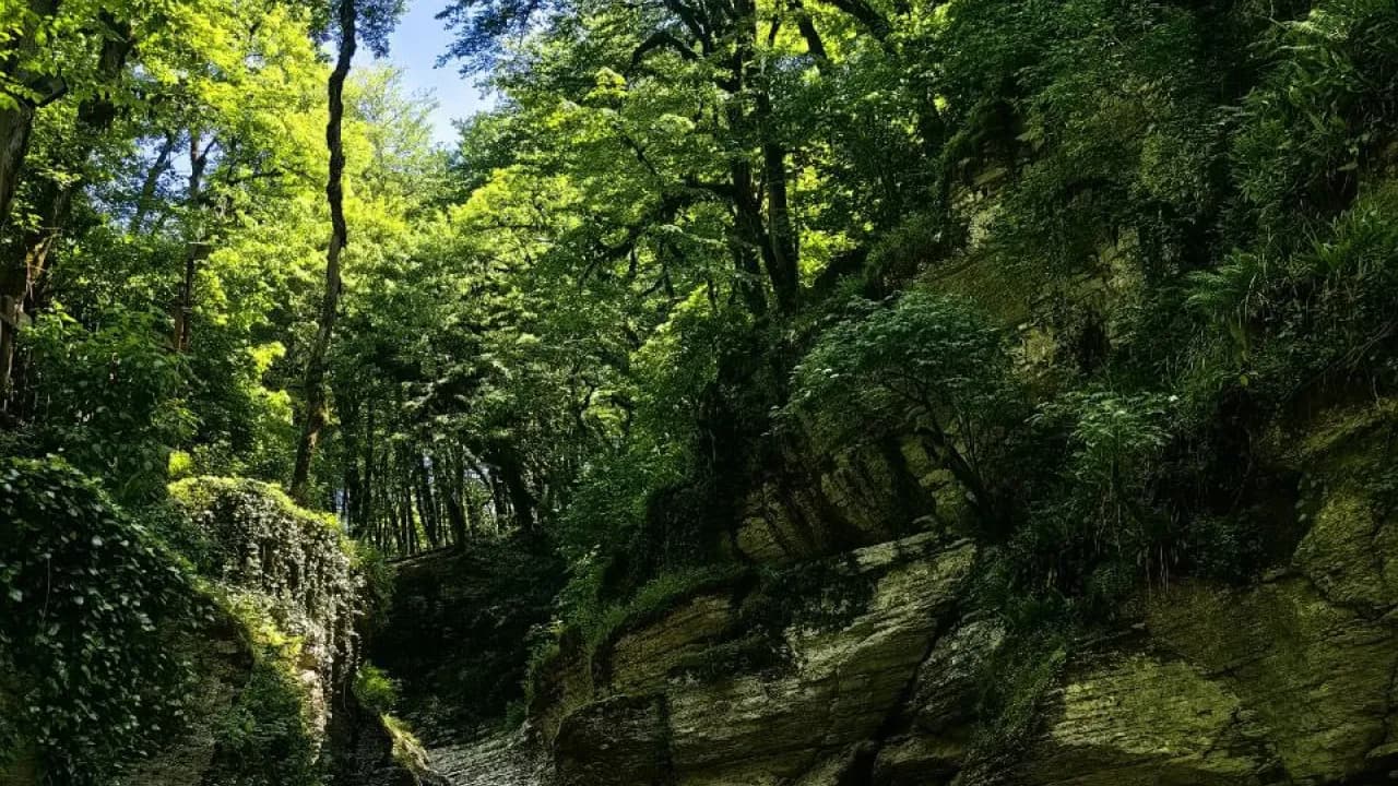 Изображение услуги6