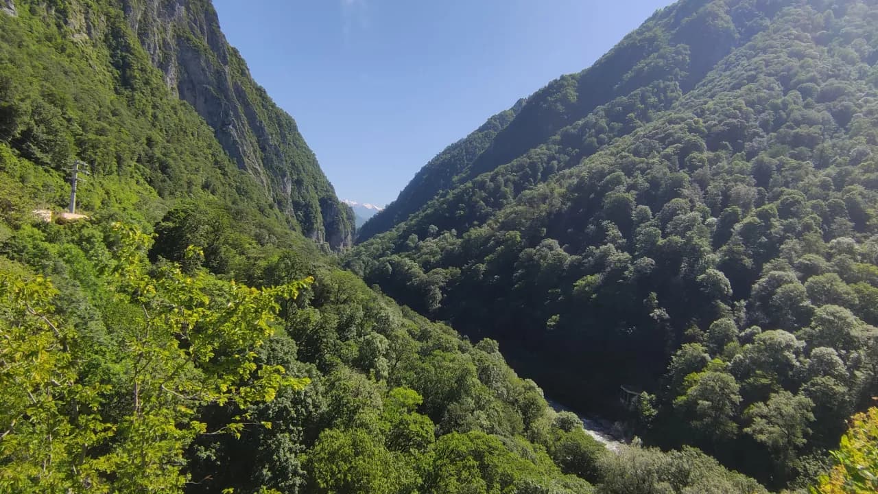 Изображение услуги11