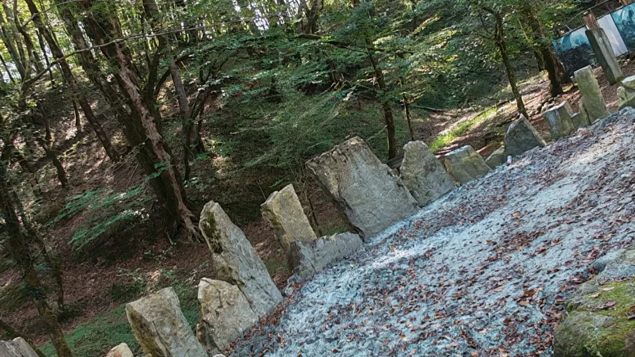 Изображение услуги12