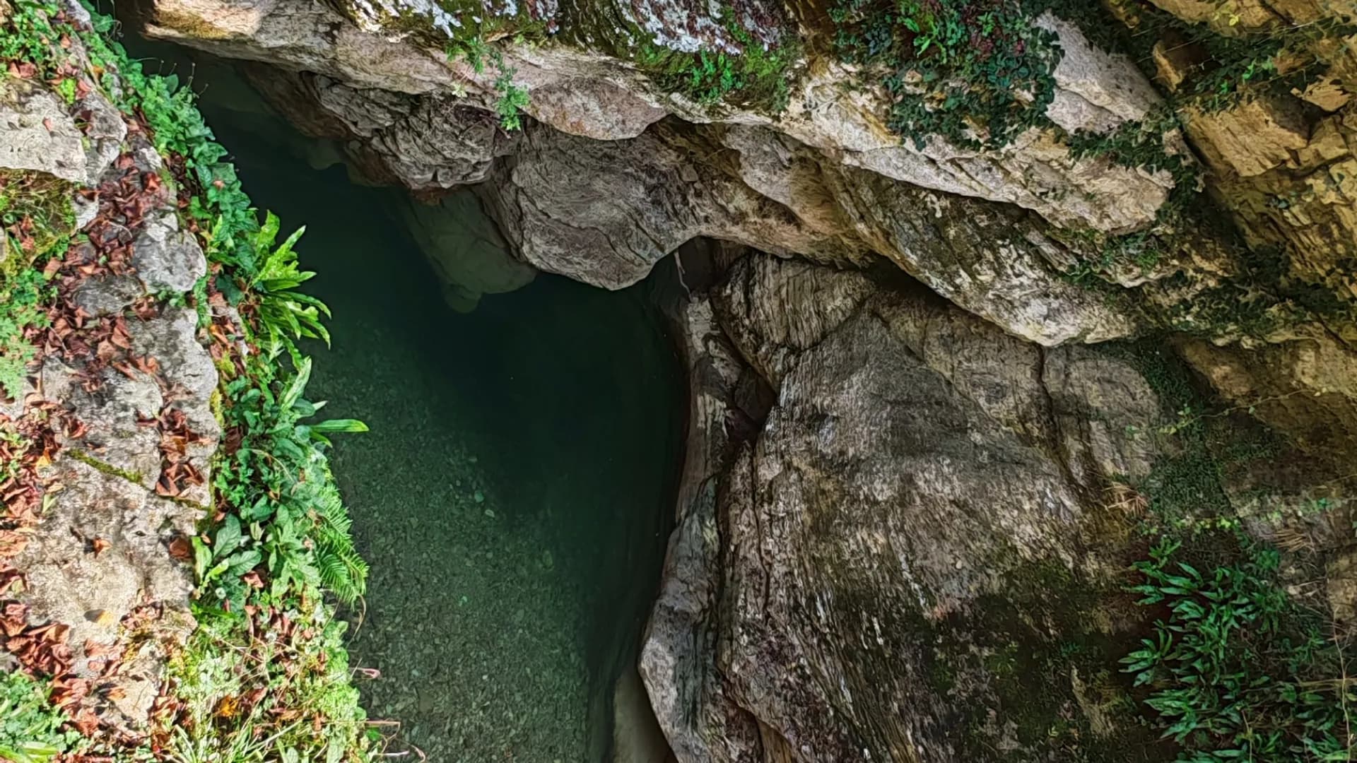 Изображение услуги15