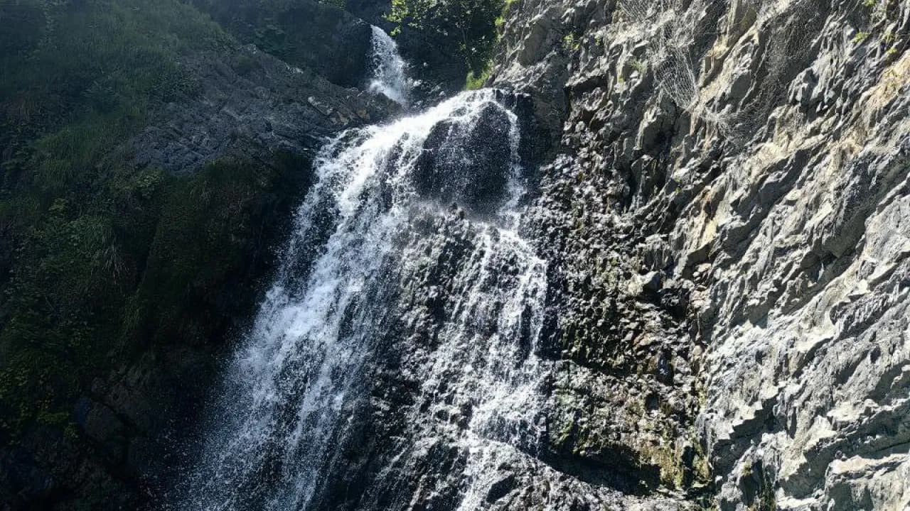 Изображение услуги1