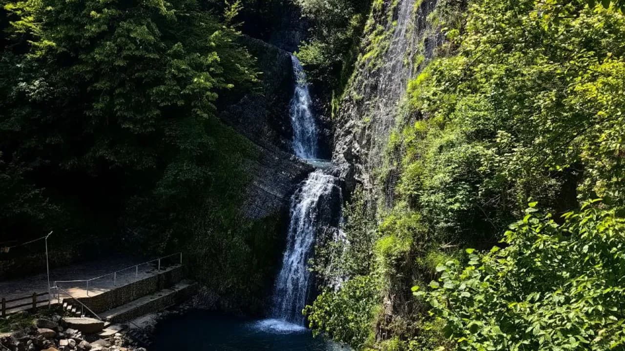 Изображение услуги2