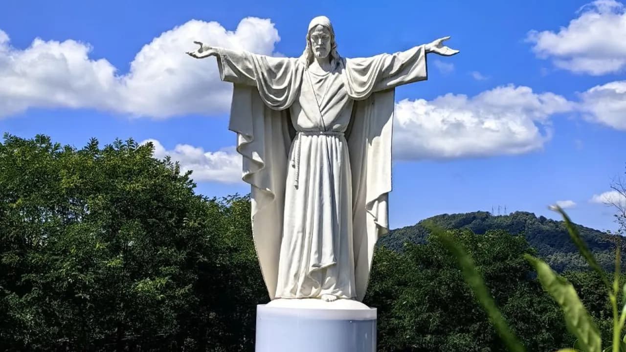 Изображение услуги12