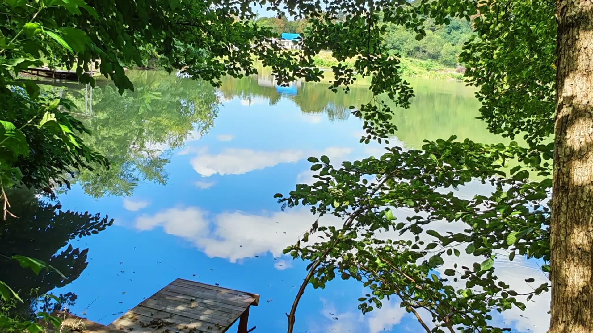 Изображение услуги14