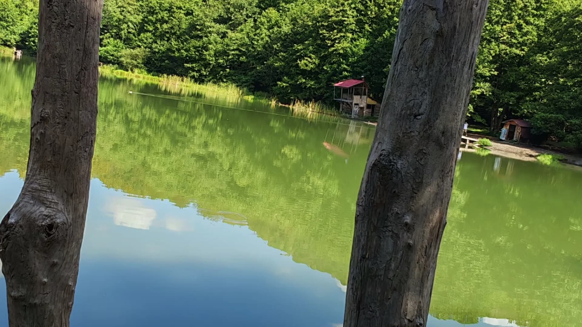 Изображение услуги15