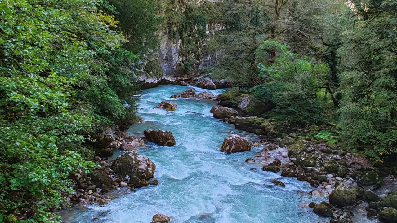 Изображение услуги4