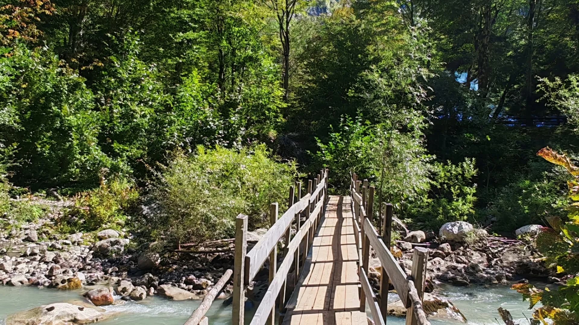 Изображение услуги5