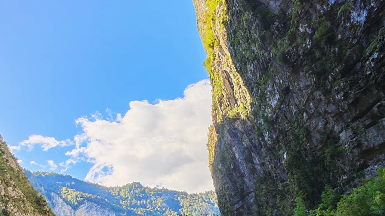 Изображение услуги8