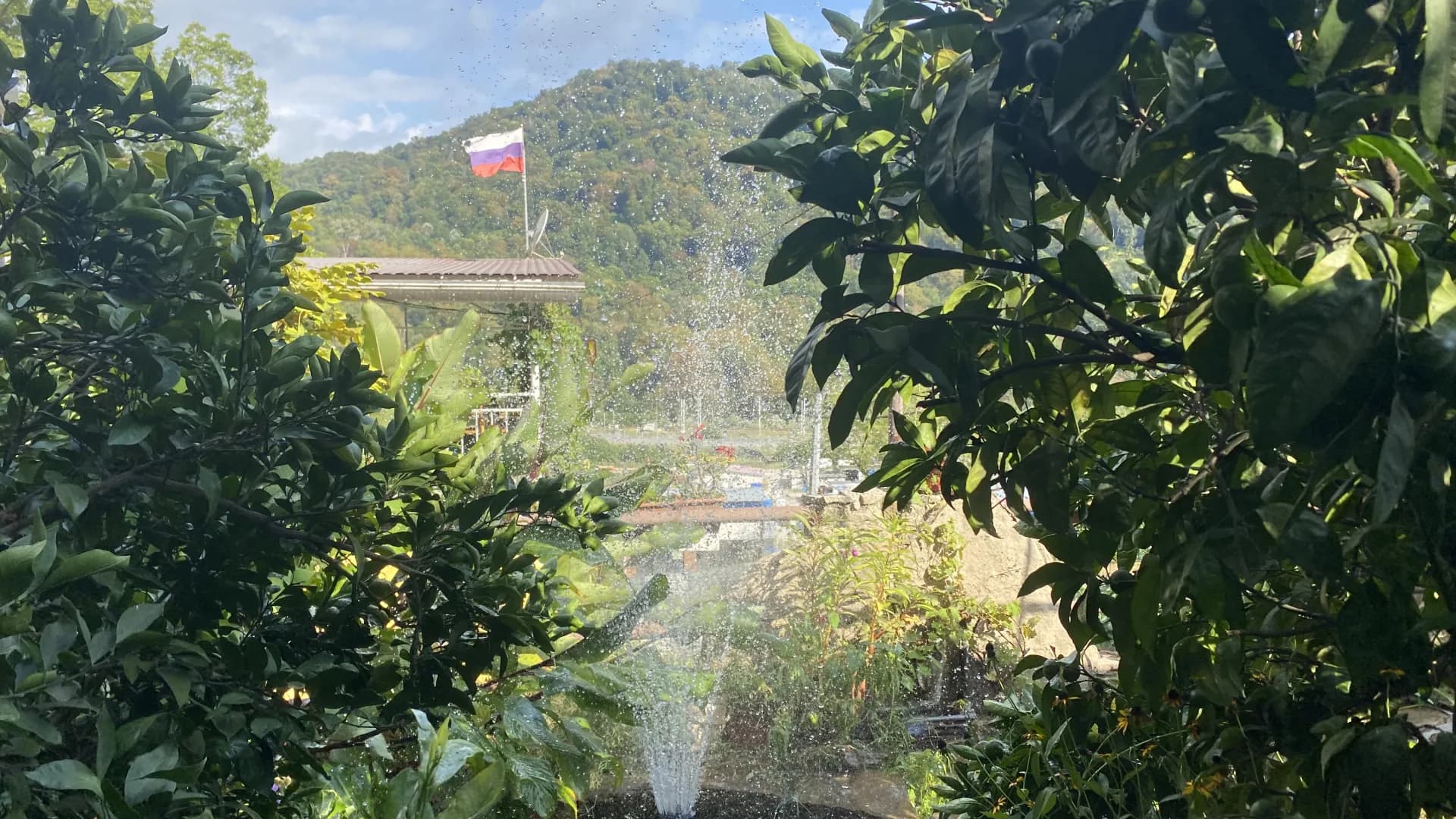 Изображение услуги1